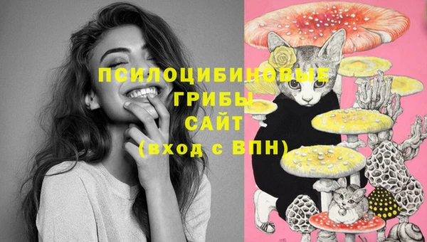 экстази Баксан