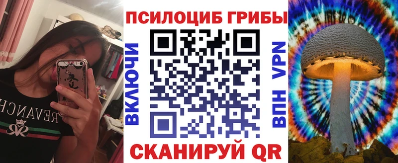 kraken вход Нурлат Галлюциногенные грибы Psilocybine cubensis